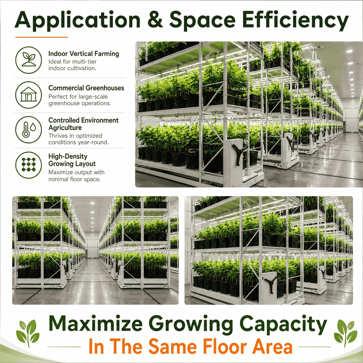 Kayou Vertical Grow Rack Systems (7) KAYOU rail-guided vertical grow rack layout for controlled-environment agriculture